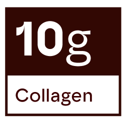 icn_10g